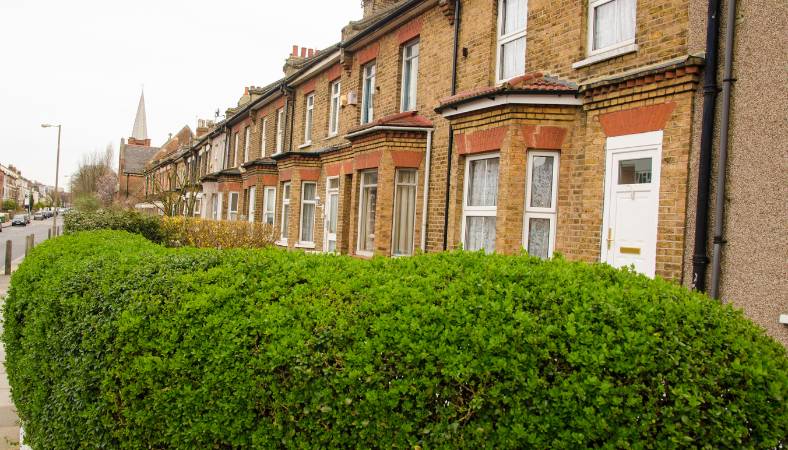 hmo license