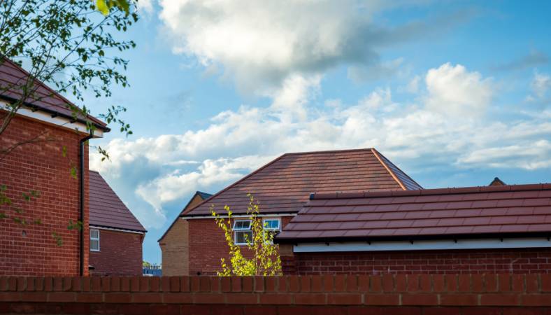 hmo lettings