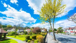 hmo lettings