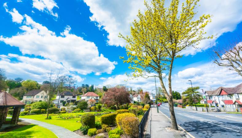 hmo lettings